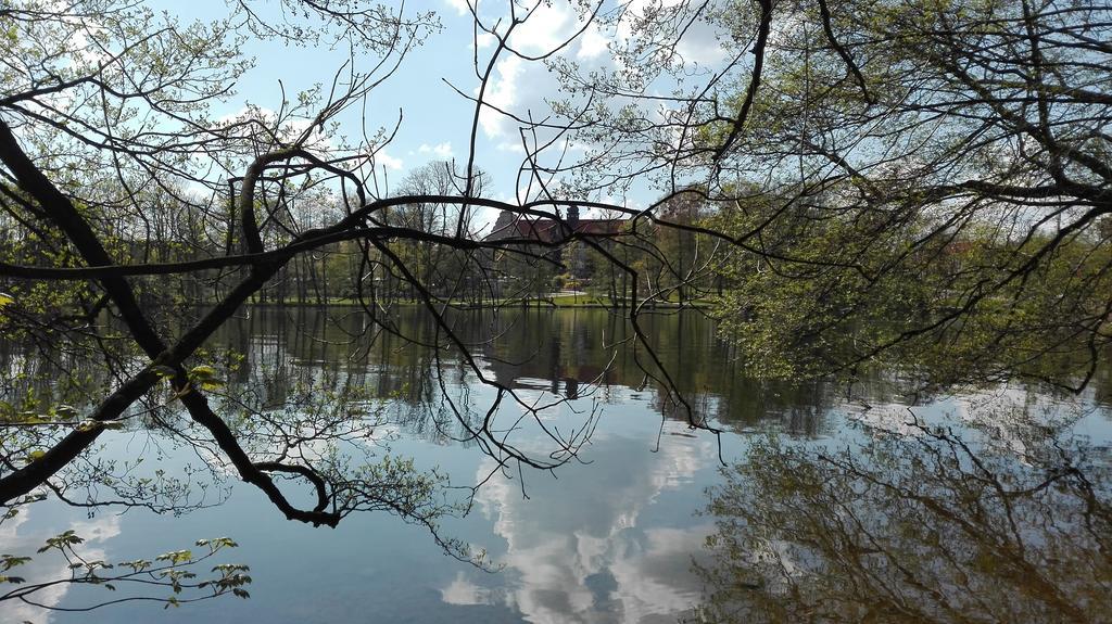 Stara Kamienica Centrum Apartament *
